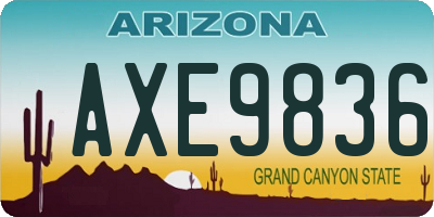 AZ license plate AXE9836