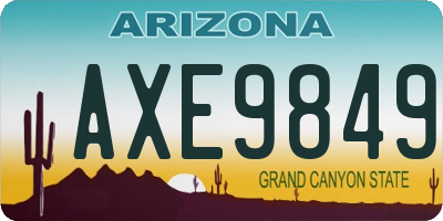 AZ license plate AXE9849