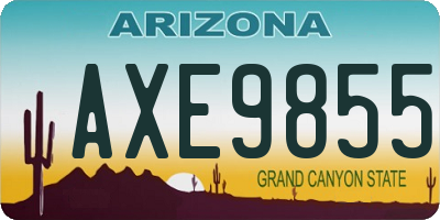 AZ license plate AXE9855
