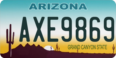 AZ license plate AXE9869