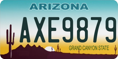 AZ license plate AXE9879