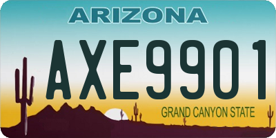 AZ license plate AXE9901