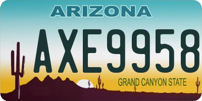AZ license plate AXE9958