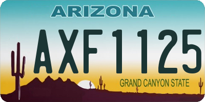 AZ license plate AXF1125