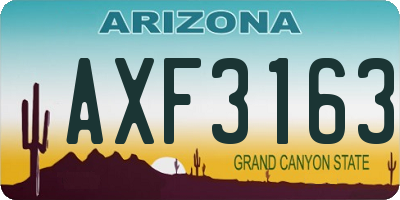 AZ license plate AXF3163