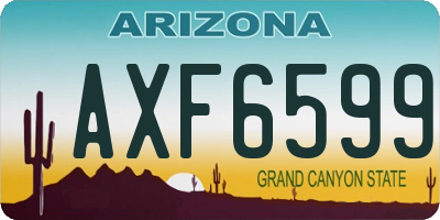AZ license plate AXF6599