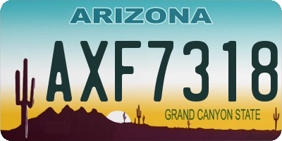 AZ license plate AXF7318