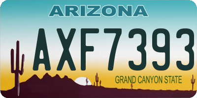 AZ license plate AXF7393