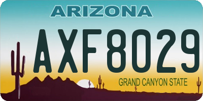 AZ license plate AXF8029