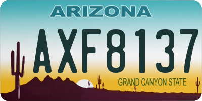 AZ license plate AXF8137