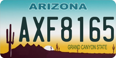 AZ license plate AXF8165