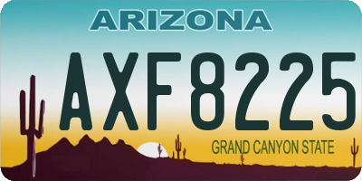 AZ license plate AXF8225