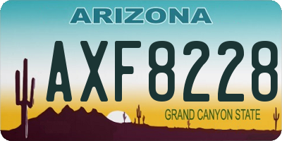 AZ license plate AXF8228