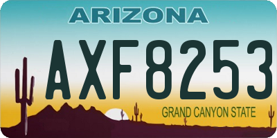 AZ license plate AXF8253