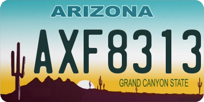 AZ license plate AXF8313