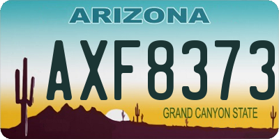 AZ license plate AXF8373