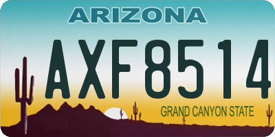 AZ license plate AXF8514