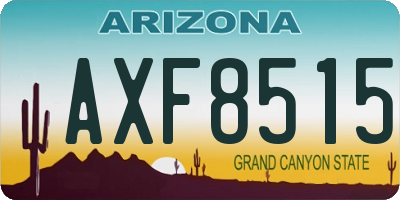 AZ license plate AXF8515