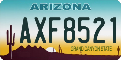 AZ license plate AXF8521
