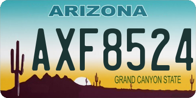 AZ license plate AXF8524