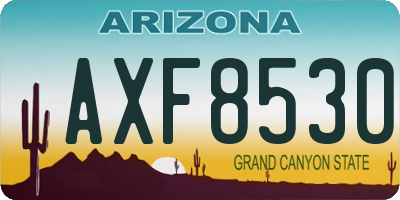 AZ license plate AXF8530