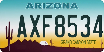 AZ license plate AXF8534