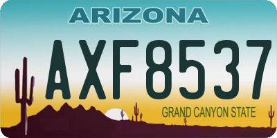 AZ license plate AXF8537