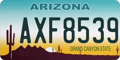 AZ license plate AXF8539