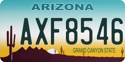 AZ license plate AXF8546