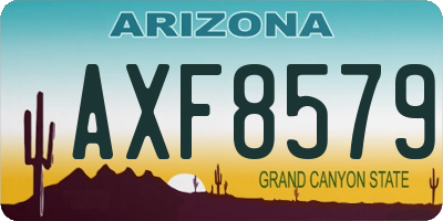 AZ license plate AXF8579
