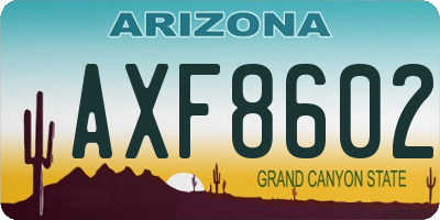 AZ license plate AXF8602