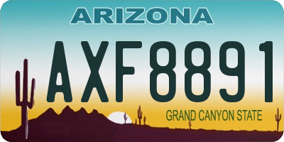 AZ license plate AXF8891