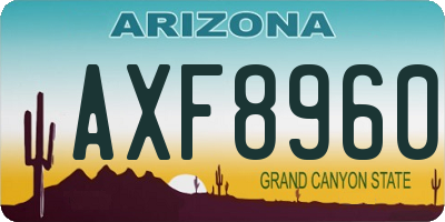 AZ license plate AXF8960