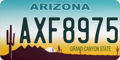 AZ license plate AXF8975