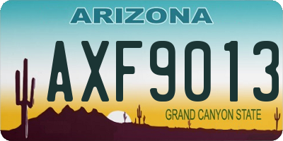 AZ license plate AXF9013