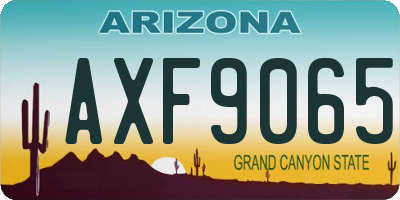 AZ license plate AXF9065