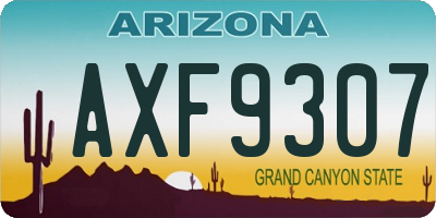 AZ license plate AXF9307