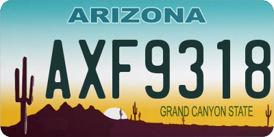 AZ license plate AXF9318