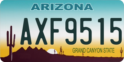 AZ license plate AXF9515