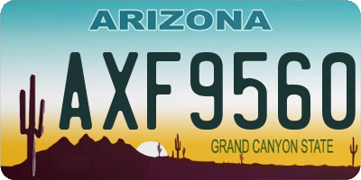 AZ license plate AXF9560