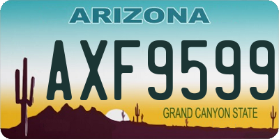 AZ license plate AXF9599