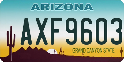 AZ license plate AXF9603