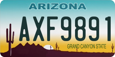 AZ license plate AXF9891