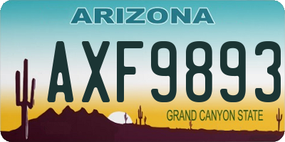 AZ license plate AXF9893