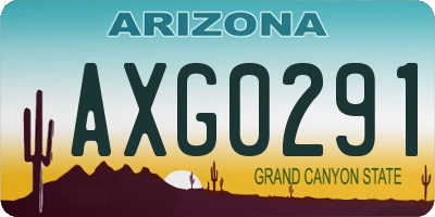 AZ license plate AXG0291