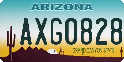 AZ license plate AXG0828