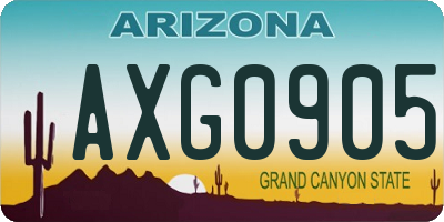 AZ license plate AXG0905