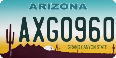 AZ license plate AXG0960