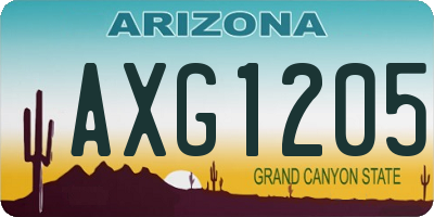 AZ license plate AXG1205