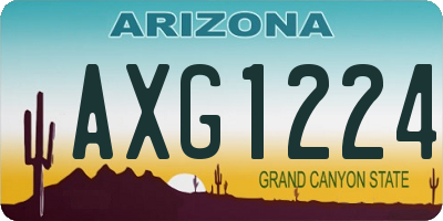 AZ license plate AXG1224